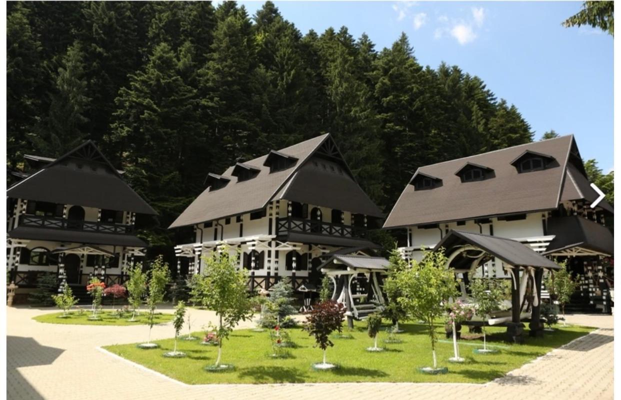 Отель Complex Lions Bucovina Воронец Экстерьер фото