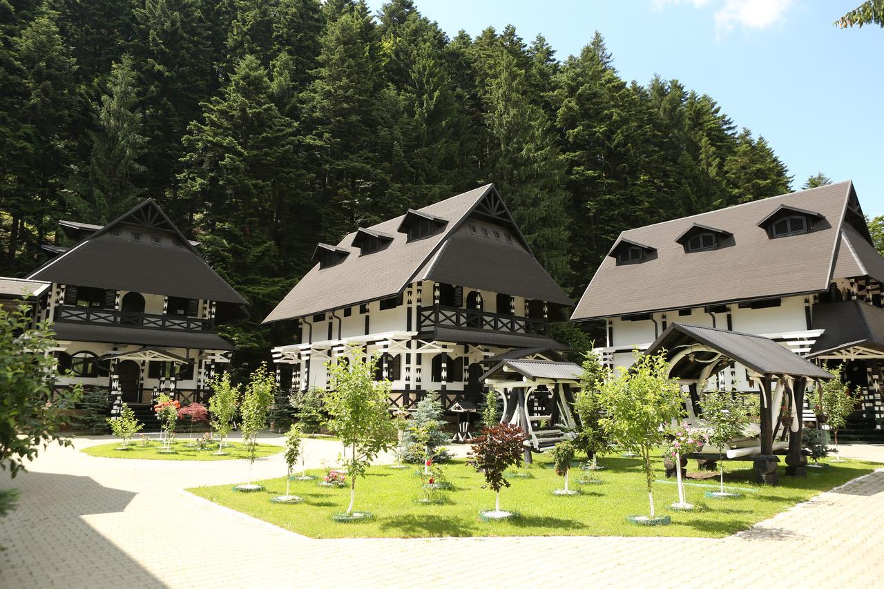 Отель Complex Lions Bucovina Воронец Экстерьер фото
