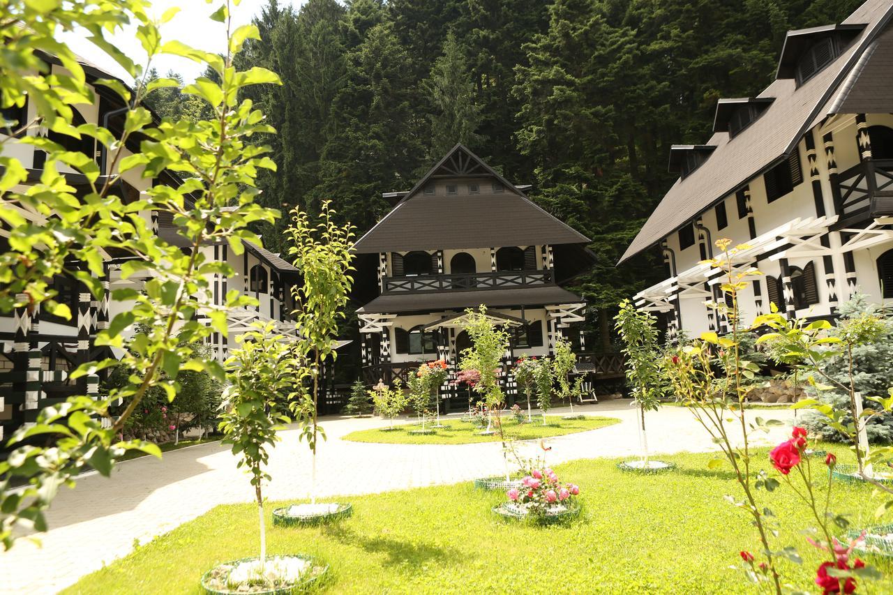 Отель Complex Lions Bucovina Воронец Экстерьер фото