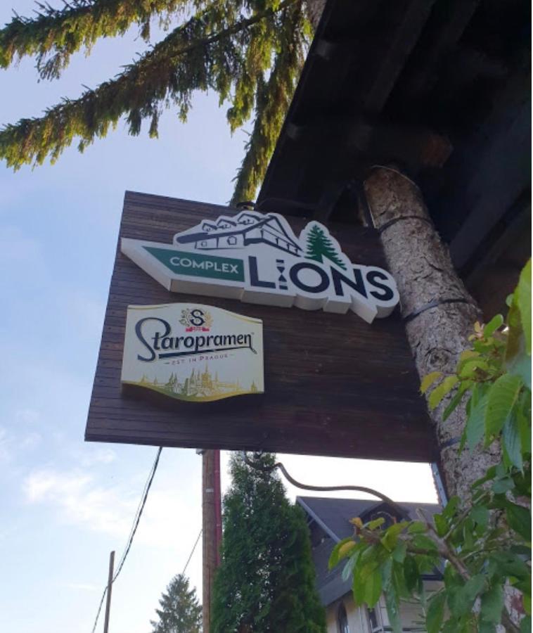 Отель Complex Lions Bucovina Воронец Экстерьер фото